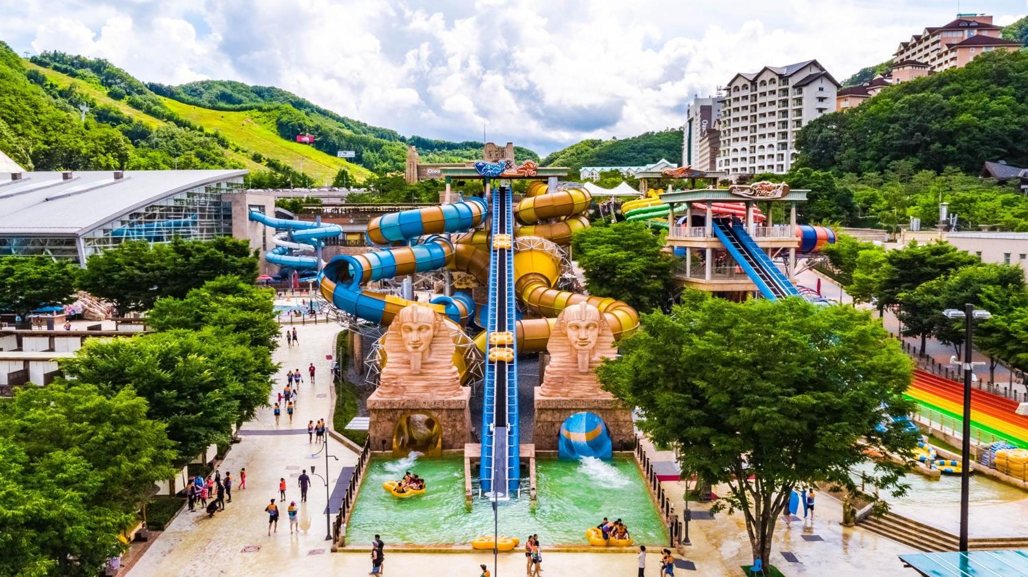 Sono Calm Vivaldipark 호텔 홍천 외부 사진